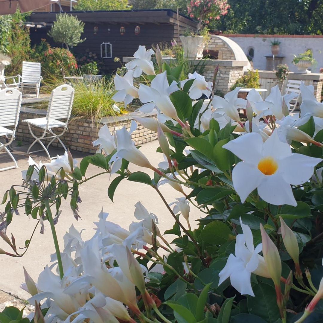 B&B Welgelegen Workum Exteriör bild